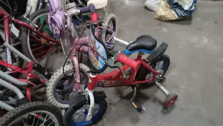Lote Bicicletas Niños y Adultos