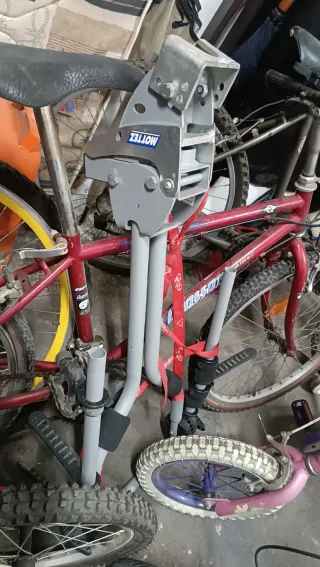 Lote Bicicletas Niños y Adultos