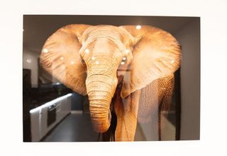 Piso en alquiler en Lomas de Marbella Club - Puente Romano en Marbella