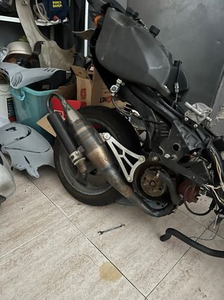 Beta Ark para ajustar