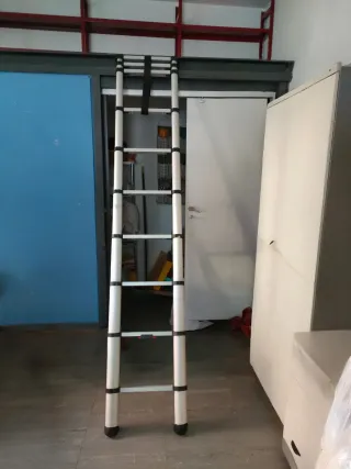 Escalera telescópica Selekta 10 peldaños