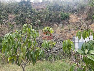 Terreno en venta en Algarrobo en Algarrobo