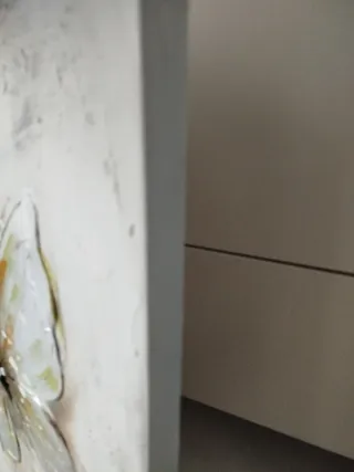 Cuadro Decorativo Mariposas