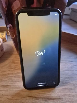 iPhone 11 Negro siempre con protección