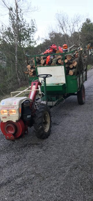 Motocultor Pasquali 973