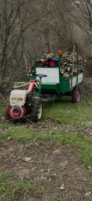 Motocultor Pasquali 973