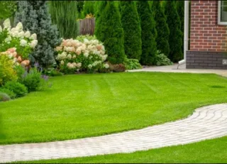 Jardinero  a partir de 30€ llamar al 631991534.