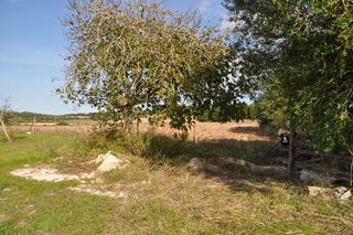 Solar en venta en Santa Margalida en Santa Margalida