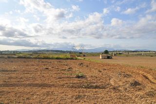 Solar en venta en Santa Margalida en Santa Margalida