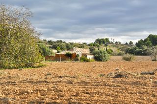Solar en venta en Santa Margalida en Santa Margalida