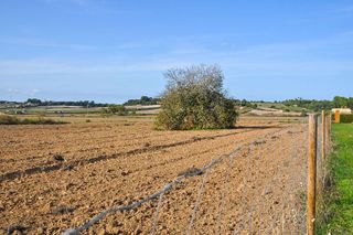 Solar en venta en Santa Margalida en Santa Margalida