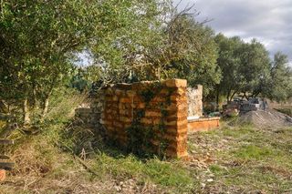 Solar en venta en Santa Margalida en Santa Margalida