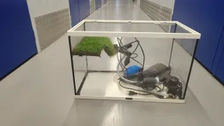 Pecera/Tortuguera de Cristal