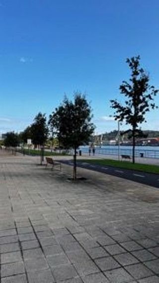 Local comercial en alquiler en Sestao