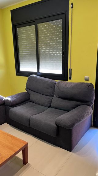 Sofá de tela gris de 2 plazas