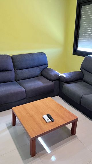 Sofá de tela gris de 2 plazas