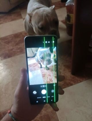 Samsung Galaxy Z Flip3 Blanco