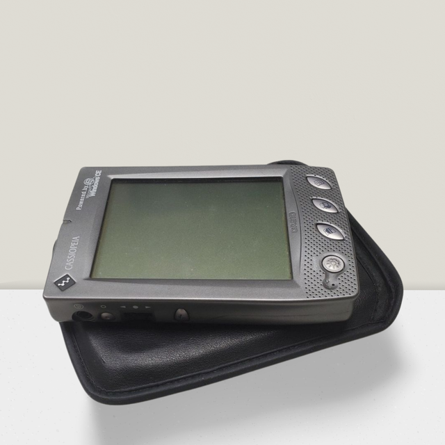 Casio Cassiopeia E-105 PDA Windows