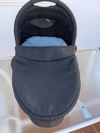 MOISES para Bébés "TORCK"