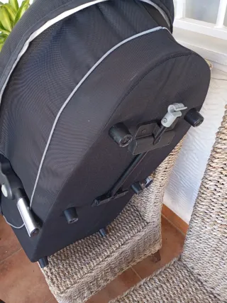 MOISES para Bébés "TORCK"