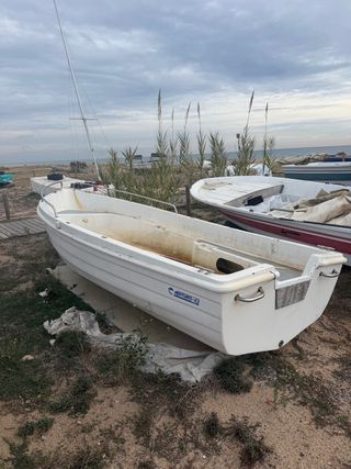 Fleco Neptuno 4,30 con Mercury 20cv