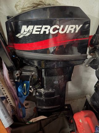 Fleco Neptuno 4,30 con Mercury 20cv