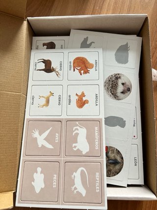 Aprendo en Positivo: Los Animales.