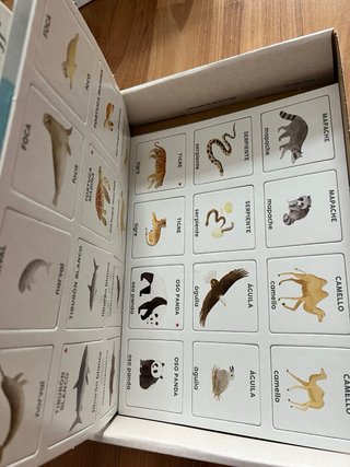 Aprendo en Positivo: Los Animales.