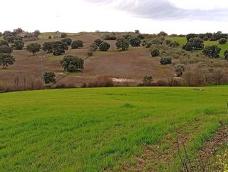 Terreno en venta en Sevilla la Nueva