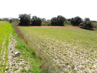 Terreno en venta en Sevilla la Nueva