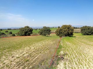 Terreno en venta en Sevilla la Nueva