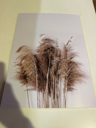 Set 6 Quadri Decorativi da Parete Moderni