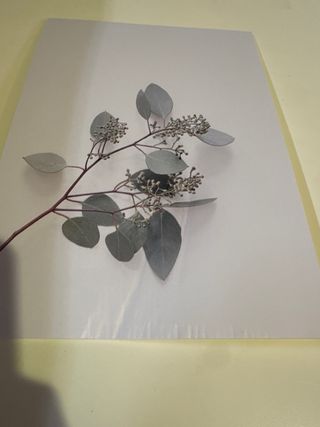 Set 6 Quadri Decorativi da Parete Moderni