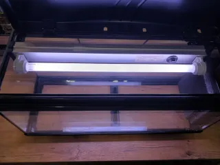 Acuario de cristal negro