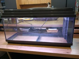 Acuario de cristal negro