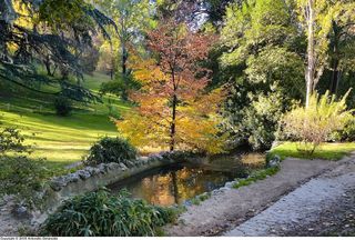 Piso en alquiler en Arapiles en Madrid