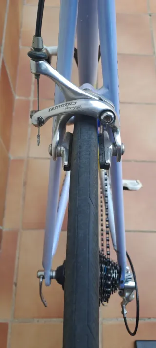 Bicicleta Colnago Mapei