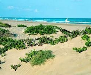 Piso en alquiler en Canet d´En Berenguer