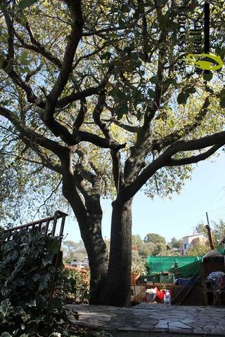 Terreno en venta en Torrelles de Llobregat