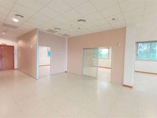 Oficina en alquiler en Establiments - Son Espanyol - Son Sardina en Palma de Mallorca