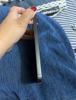 iPhone 13 Pro Max Gris Espacial