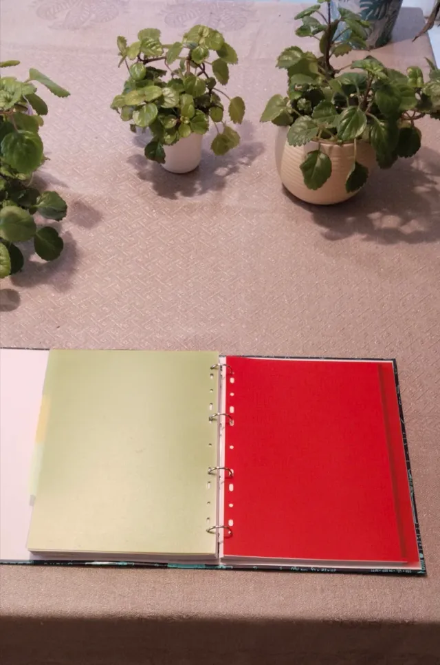 Carpeta anillas con recambios