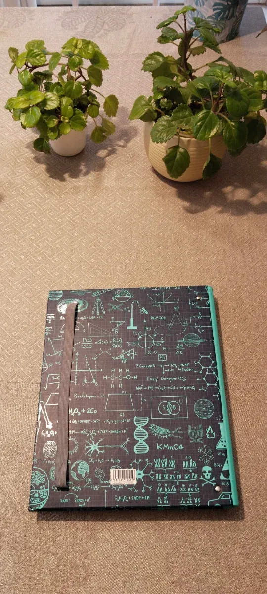 Carpeta anillas con recambios