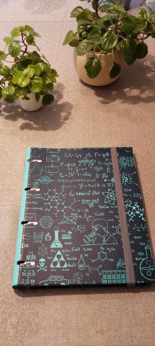 Carpeta anillas con recambios