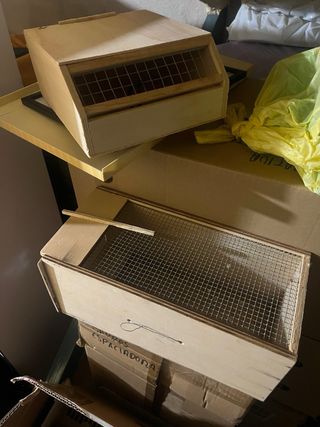 Trasportini per uccelli in legno