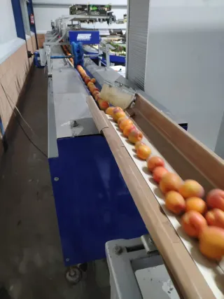 Calibrador de fruta Unitec