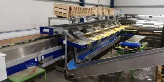 Calibrador de fruta Unitec