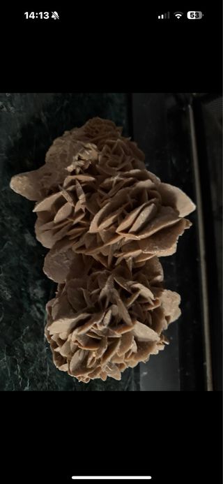 Rosa del Deserto Tunisino