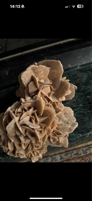 Rosa del Deserto Tunisino