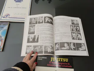 Lote de Libros de artes marciales